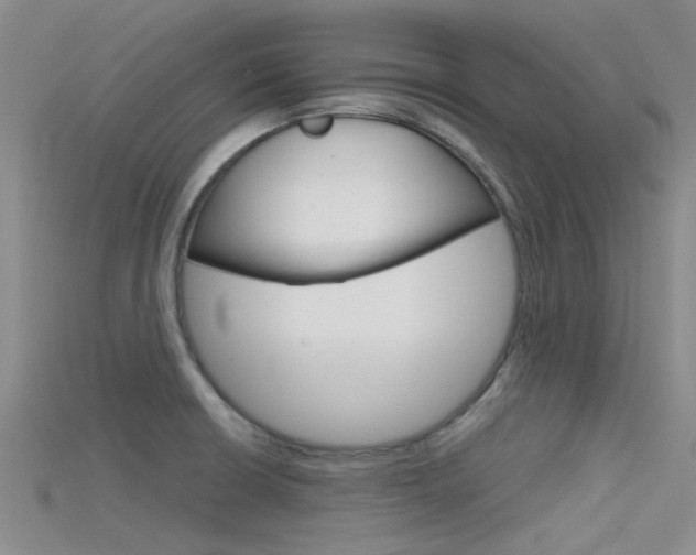 X0000115741426200911121053