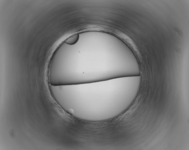 X0000115741427200911121053