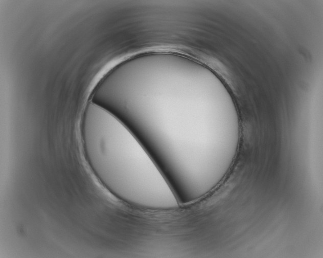 X0000115741428200911121053