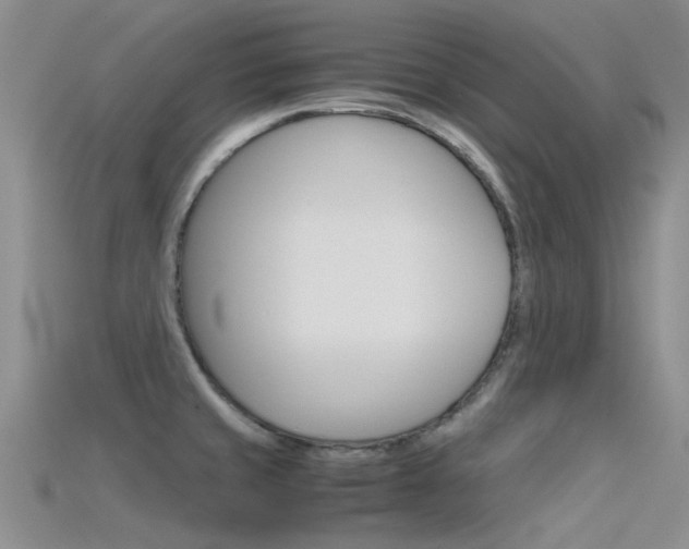 X0000115741429200911121053