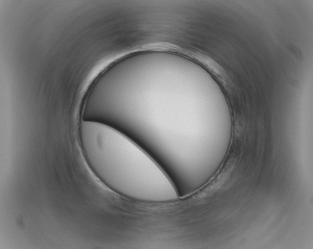 X0000115741430200911121053