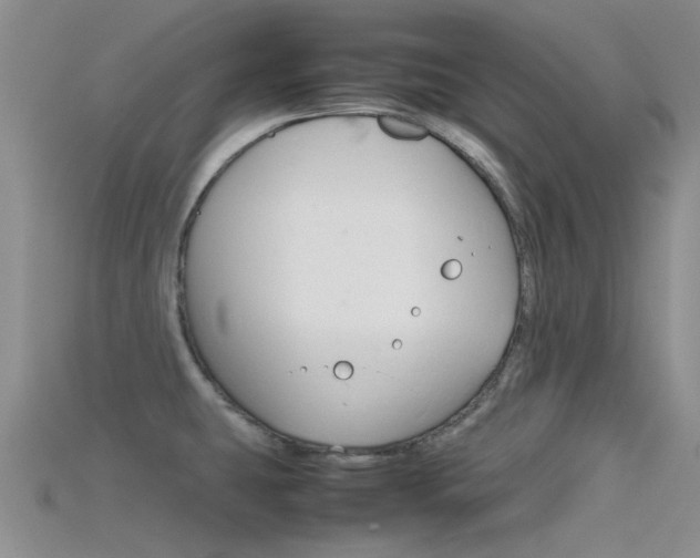 X0000115741431200911121053
