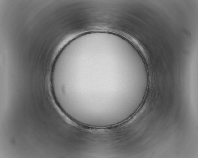 X0000115741432200911121053