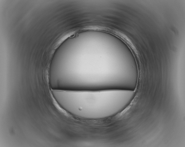 X0000115741433200911121053