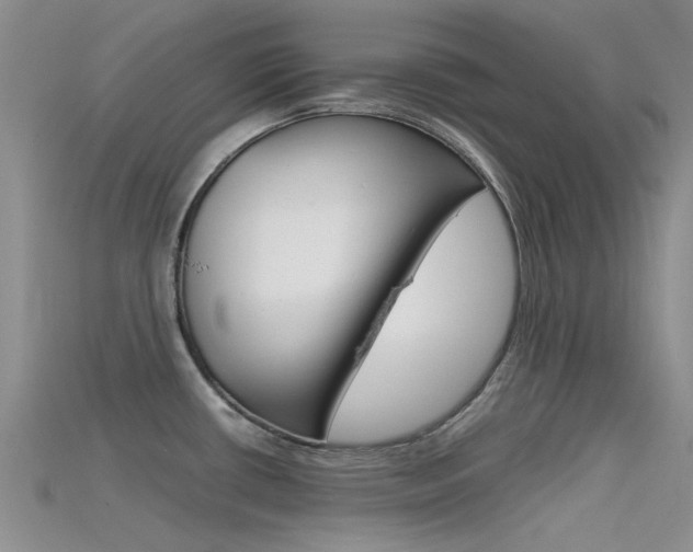 X0000115741434200911121053