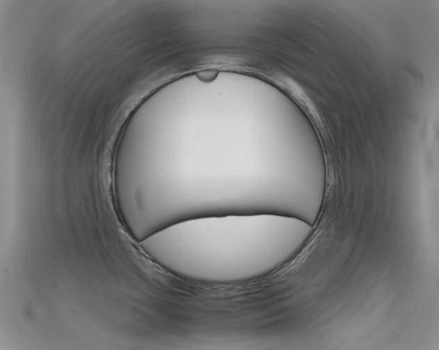 X0000115741435200911121053