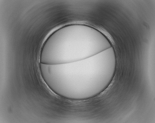 X0000115741436200911121053