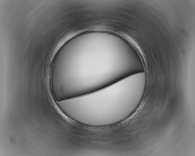 X0000115741437200911121053