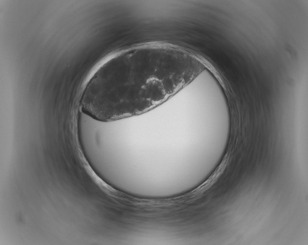 X0000115741438200911121053