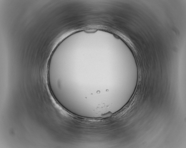 X0000115741439200911121053
