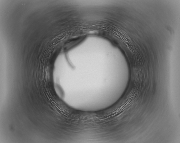 X0000115741442200911121052