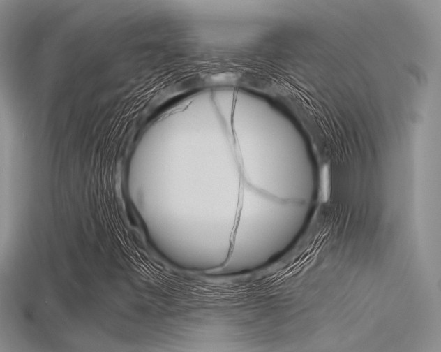 X0000115741443200911121052