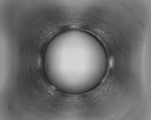 X0000115741444200911121052