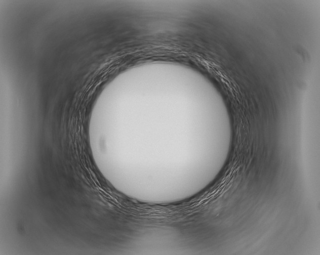 X0000115741445200911121052