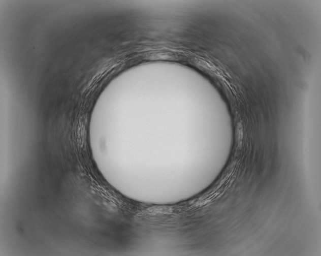 X0000115741446200911121052