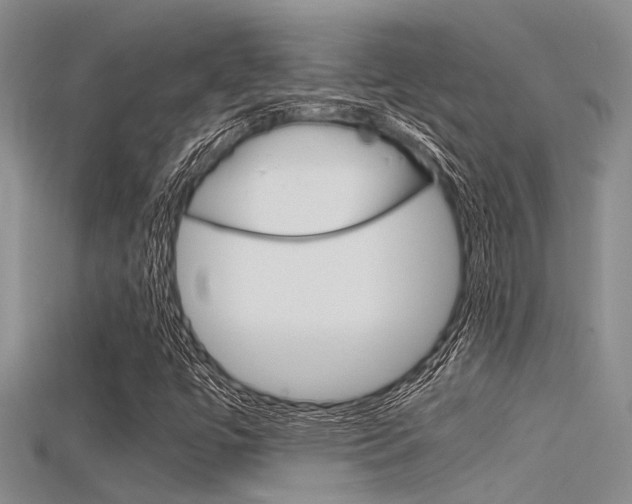 X0000115741447200911121052