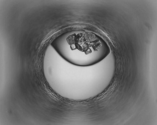 X0000115741448200911121052