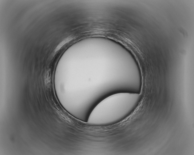 X0000115741450200911121052