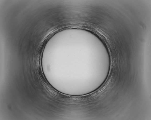 X0000115741451200911121052