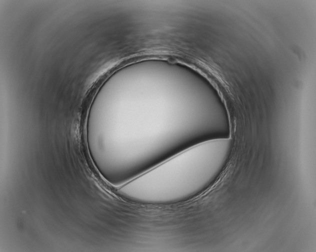 X0000115741452200911121052