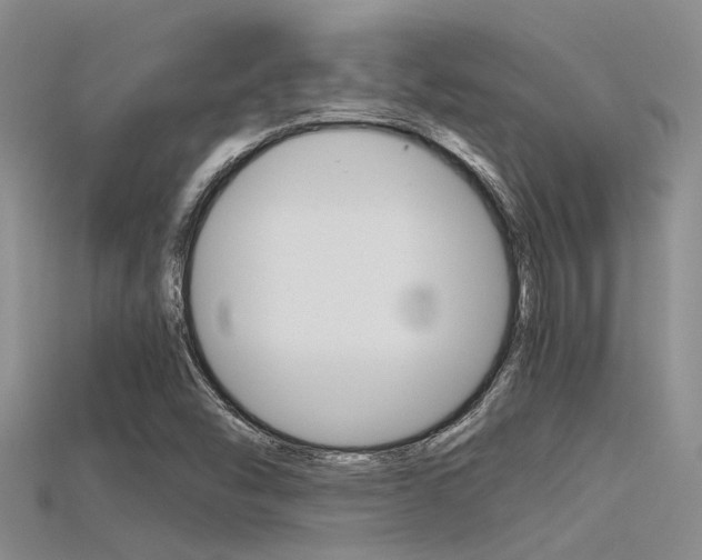 X0000115741454200911121052