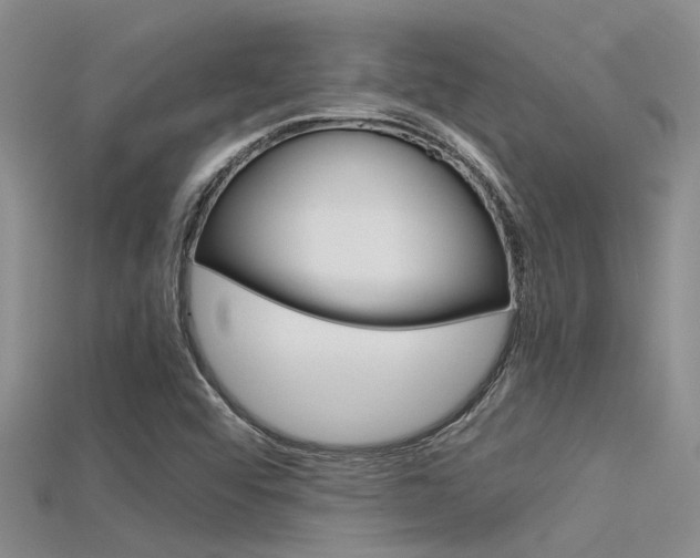 X0000115741456200911121052