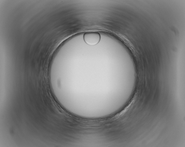 X0000115741457200911121052