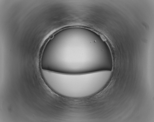 X0000115741460200911121052