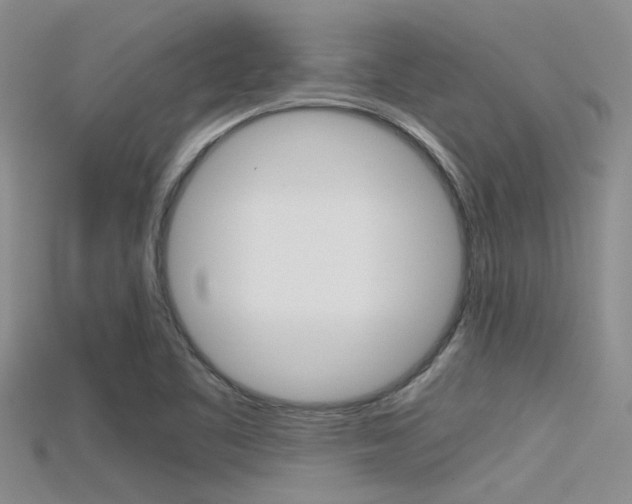 X0000115741461200911121052