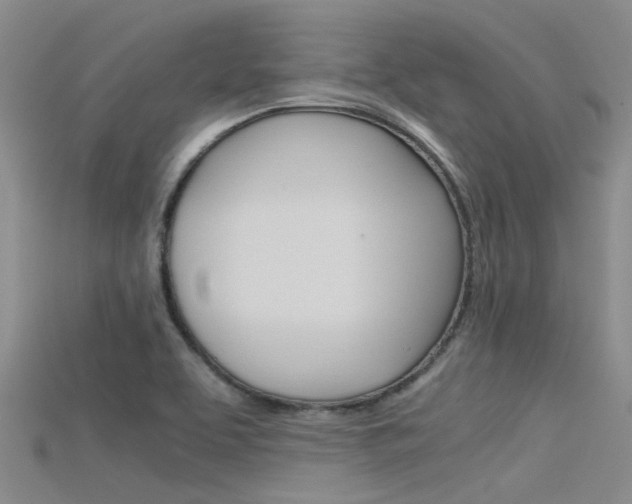 X0000115741463200911121052