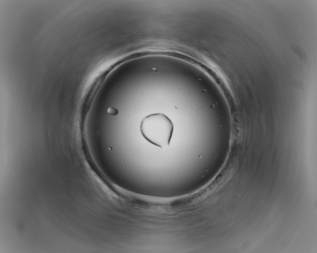 X0000115741464200911121052