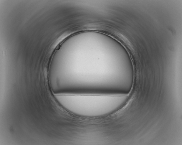 X0000115741465200911121052