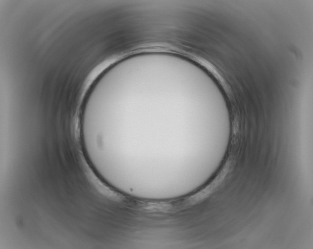 X0000115741466200911121052