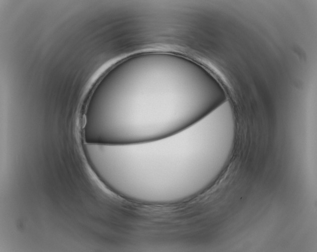 X0000115741468200911121052