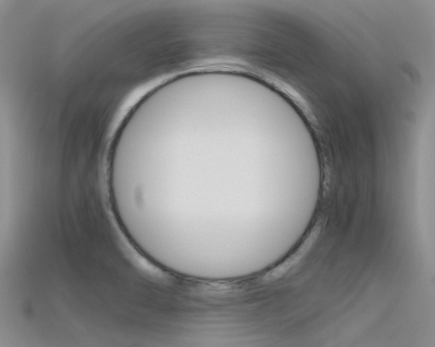 X0000115741470200911121052