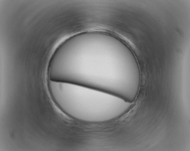 X0000115741471200911121052