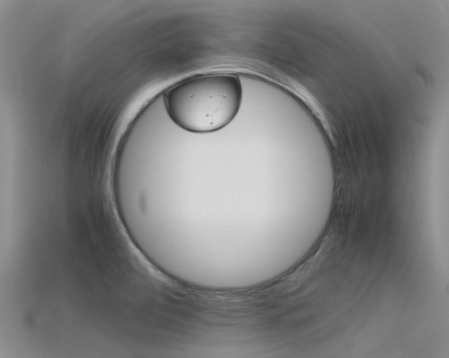 X0000115741472200911121052