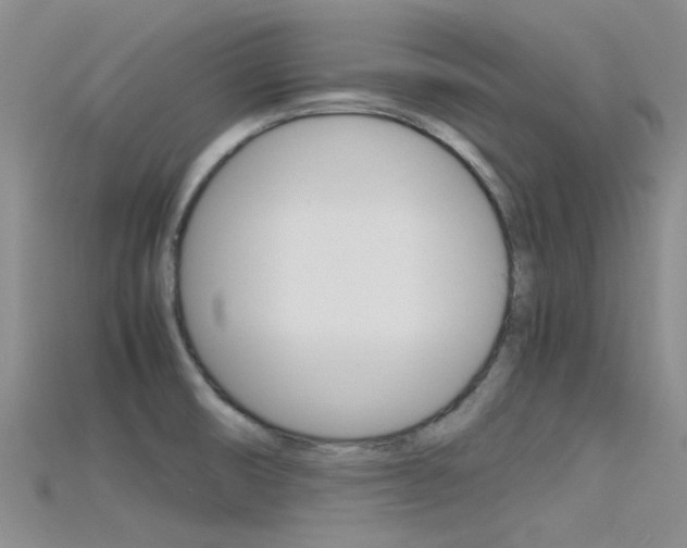 X0000115741474200911121052