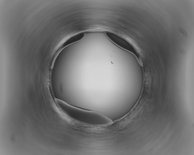 X0000115741476200911121052