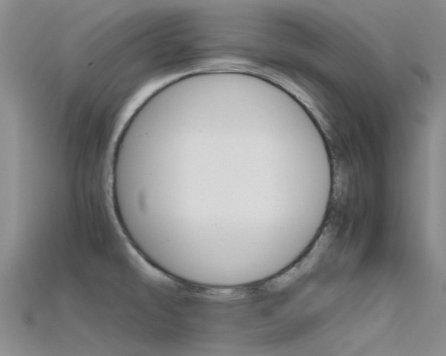 X0000115741478200911121052