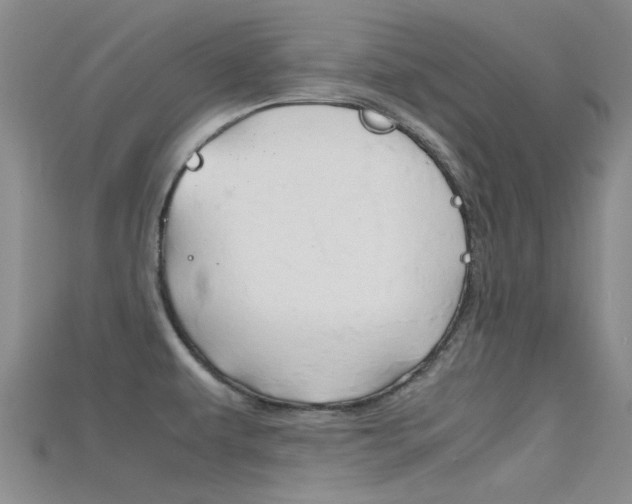 X0000115741479200911121052