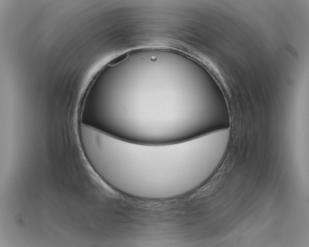 X0000115741480200911121052