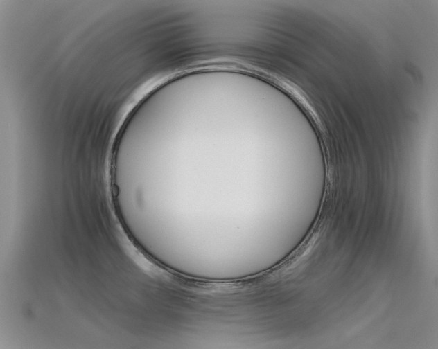 X0000115741482200911121052