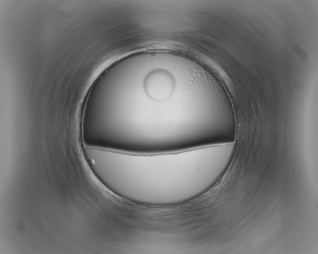 X0000115741483200911121052