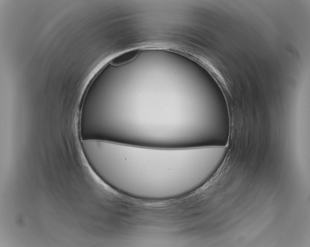X0000115741484200911121052