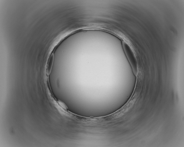 X0000115741485200911121052
