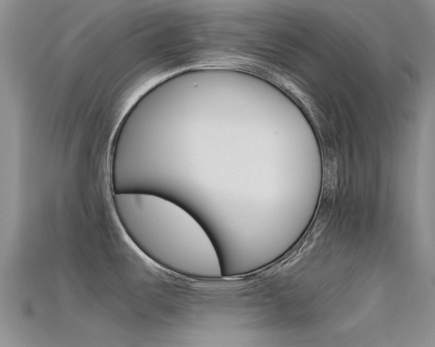 X0000115741487200911121052