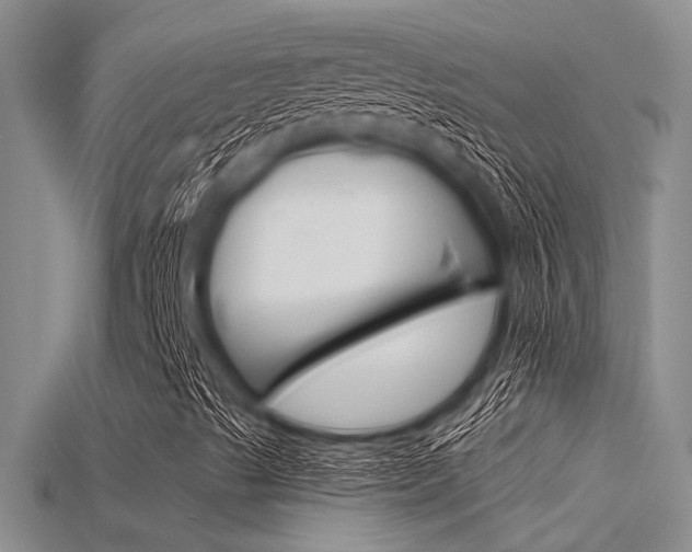 X0000115741489200911121051