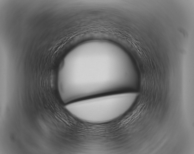 X0000115741490200911121051