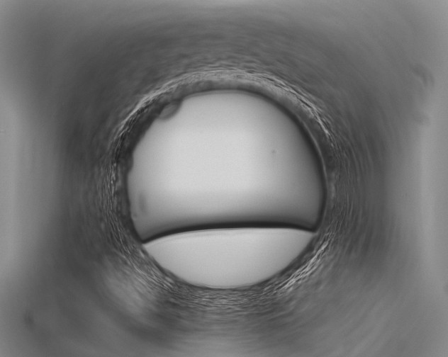 X0000115741494200911121051